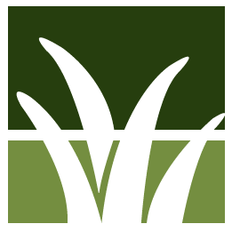 Tree Branch Cleanup Pros