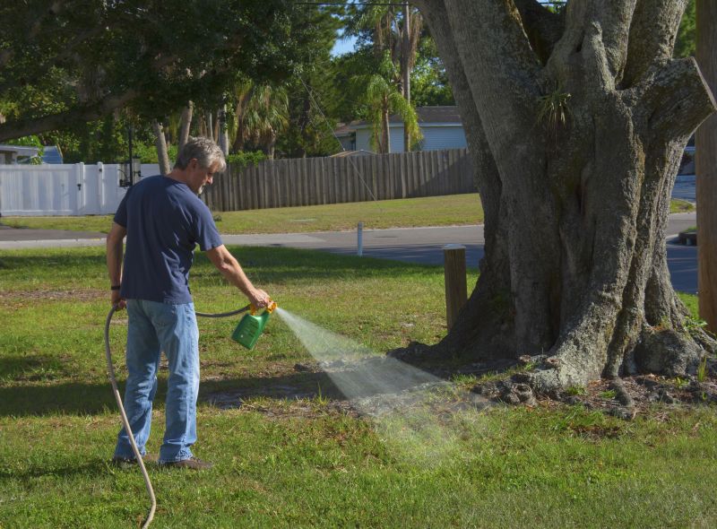 Garden Deweeding in Rockwall, TX