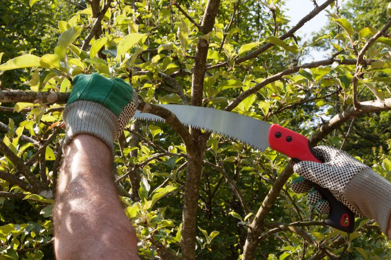 Healthy Tree Pruning